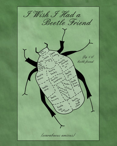 i wish i had a beetle friend