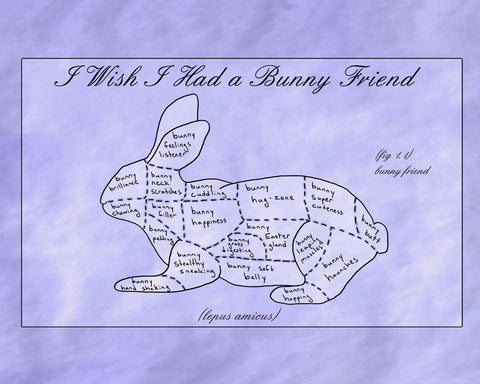 i wish i had a bunny friend