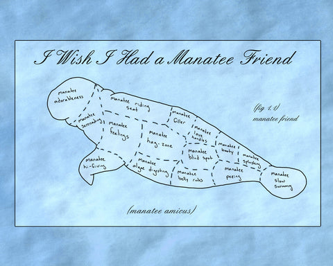 i wish i had a manatee friend
